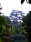 BlogPaint