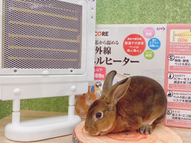 うさぎブログ うさぎのしっぽ公式ブログ 日々しっぽ スタッフ愛用 ヒーターご紹介