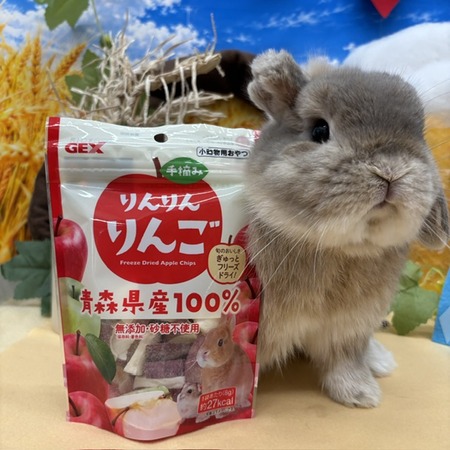 10月おすすめ商品！！ : うさぎブログ うさぎのしっぽ公式ブログ
