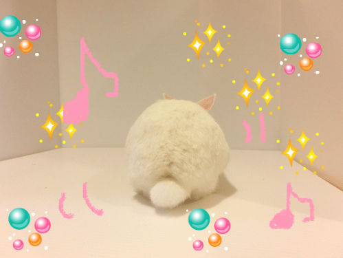 うさぎブログ うさぎのしっぽ公式ブログ 日々しっぽ 12年12月17日 Livedoor Blog ブログ うさぎブログ うさぎのしっぽ公式ブログ 日々しっぽ 12年12月17日 Livedoor Blog ブログ