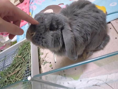 20250222_010401 (1) (1)