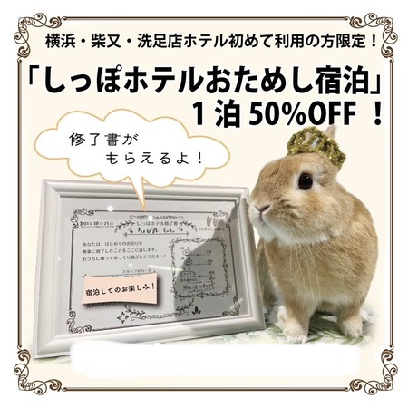88A2374C-08FF-47BD-BE8E-B9E37F85E0E1