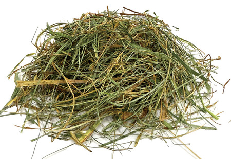 �����ȥ�å������2