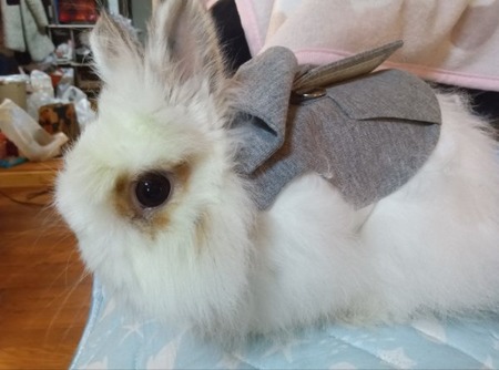 250125162528179_20250126084026