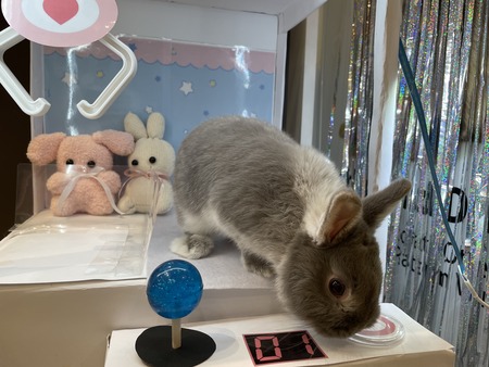 9573BED6-1011-4D21-B326-EB69BD55C056