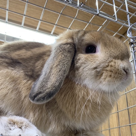 95ACDCA4-DA9B-4F04-9EC3-01192BEEAD23