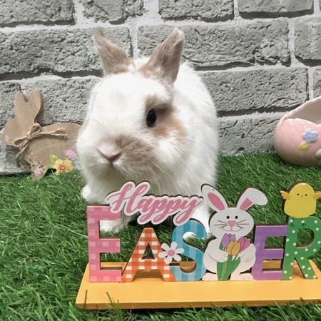 dfd72913-81e2-4f30-aa5c-e38b8e6043e3