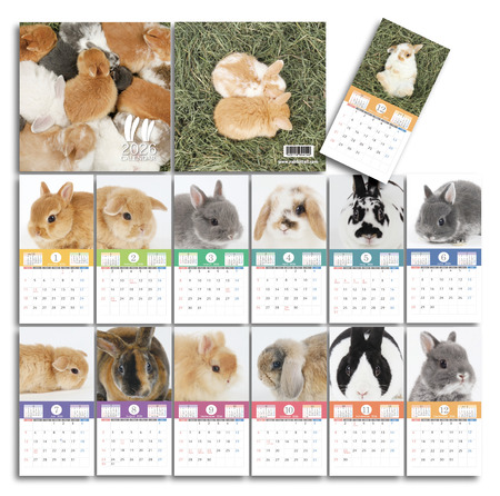 アートボード 2@2x-100