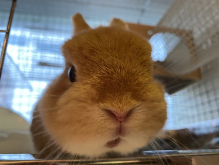 A82354A8-1D79-4C3B-AE76-D11FC39A7ED4