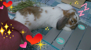 BlogPaint