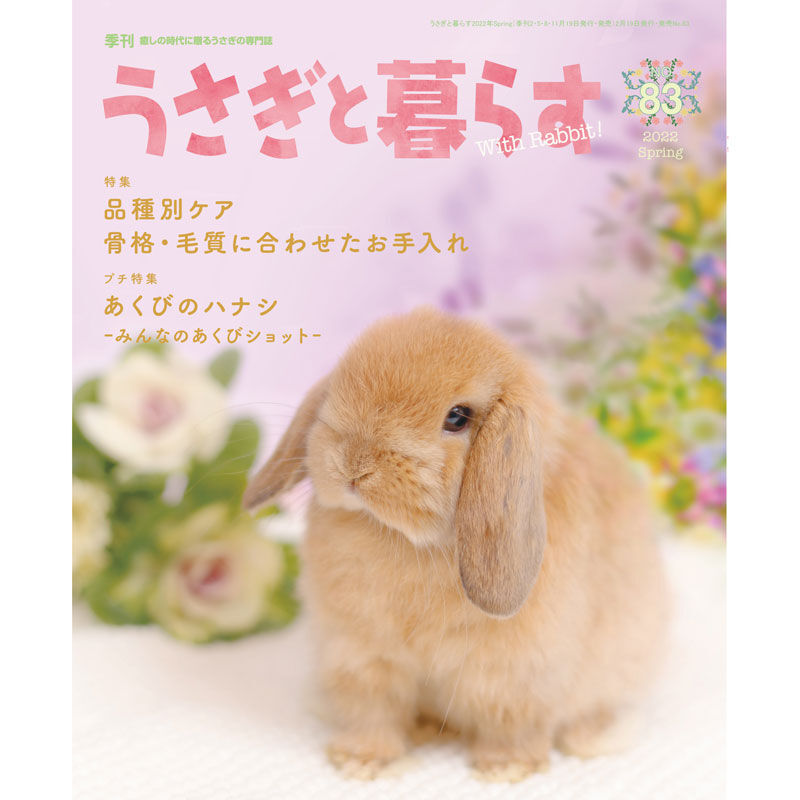 うさぎブログ うさぎのしっぽ公式ブログ 日々しっぽ うさぎと暮らす最新刊