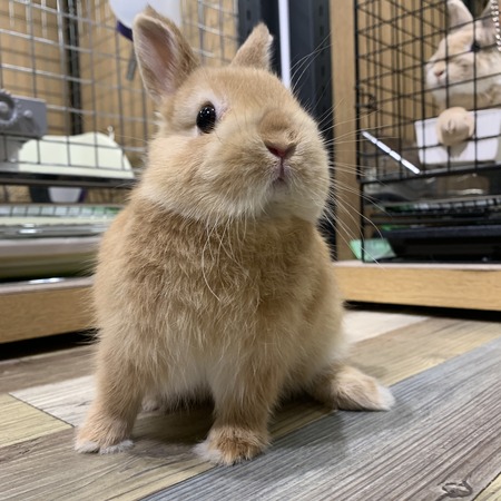 EDA41779-221B-4377-AE47-3D1AA68B5EF3