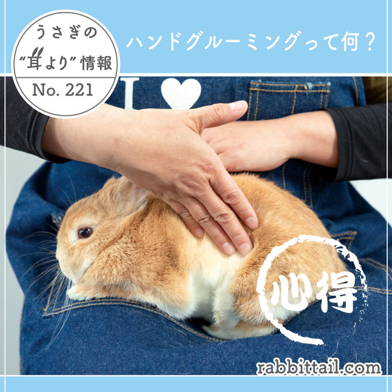 うさぎブログ うさぎのしっぽ公式ブログ 日々しっぽ うさぎの耳より情報 No 221 ハンドグルーミングって何