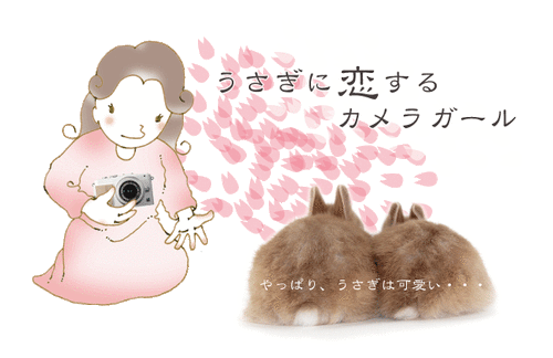 camera1
