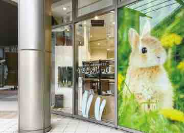 錦糸町に新店舗オープン!! : うさぎブログ うさぎのしっぽ公式 錦糸町に新店舗オープン!! : うさぎブログ うさぎのしっぽ公式