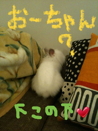 BlogPaint