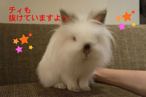 BlogPaint