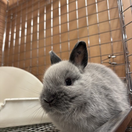 F2B391FD-8F8B-4591-9EFF-8A3682F2F2E7