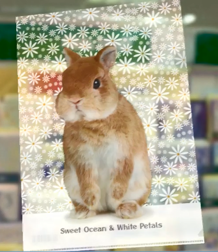 ���ꥢ�ե�����