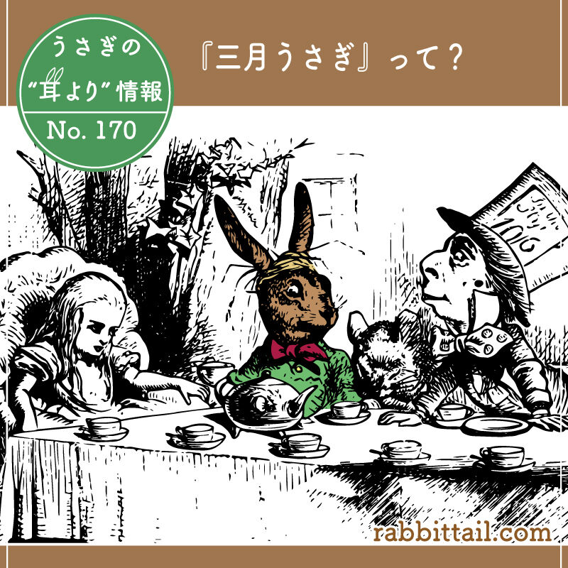 うさぎブログ うさぎのしっぽ公式ブログ 日々しっぽ うさぎの耳より情報 No 170 三月うさぎ うさぎブログ うさぎのしっぽ公式ブログ 日々しっぽ うさぎの耳より情報 No 170 三月うさぎ