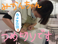 BlogPaint