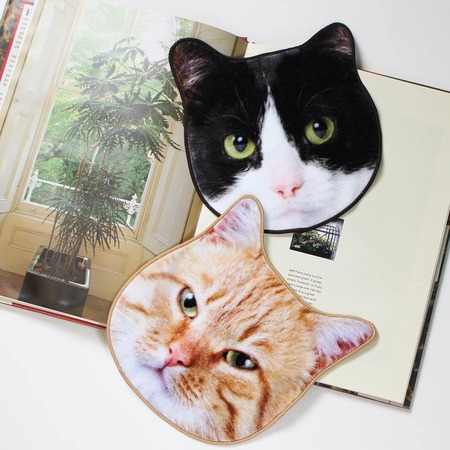 16473048_1245049175614384_8314544493273072753_n