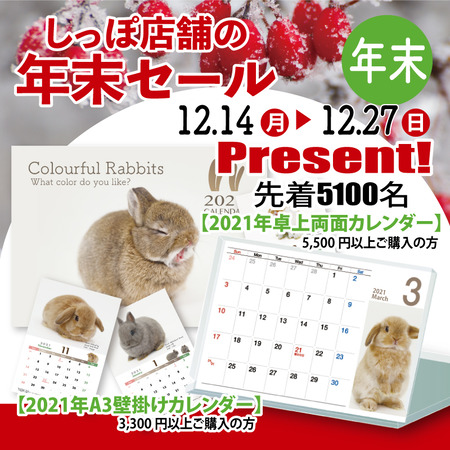 ǯ��������