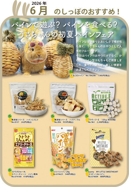 うさぎ6月のおすすめパイン