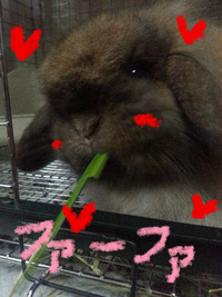 BlogPaint