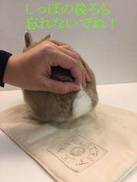 BlogPaint