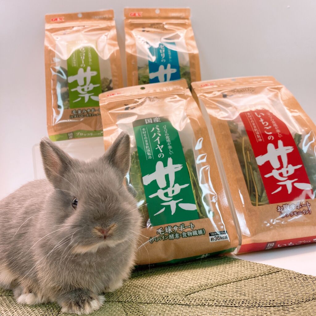 うさぎブログ うさぎのしっぽ公式ブログ 日々しっぽ Livedoor Blog ブログ うさぎブログ うさぎのしっぽ公式ブログ 日々しっぽ Livedoor Blog ブログ