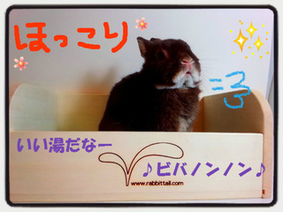 BlogPaint