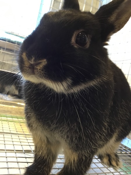 37139827-A42E-4F66-8DD0-D38EF4B62D54