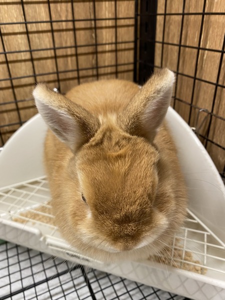 472BBF3F-8EA0-4D6F-815E-EE76F9FF1FAC