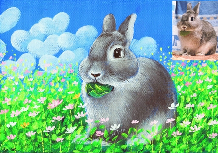 artmoghadam-rabbit37