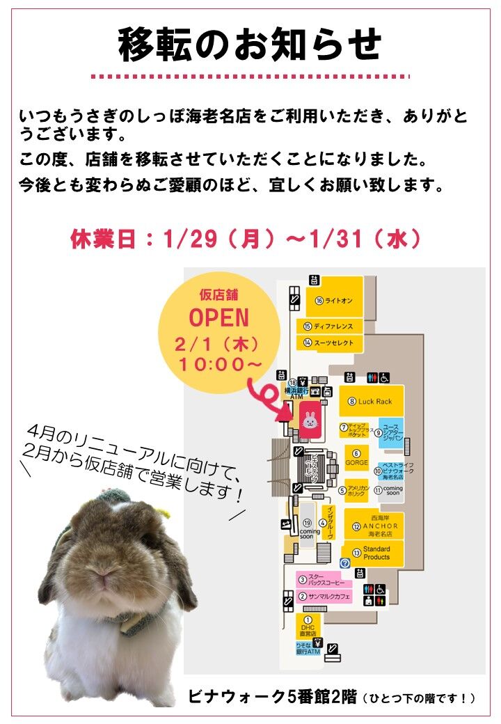 海老名店お引越しします！ : うさぎブログ うさぎのしっぽ公式ブログ