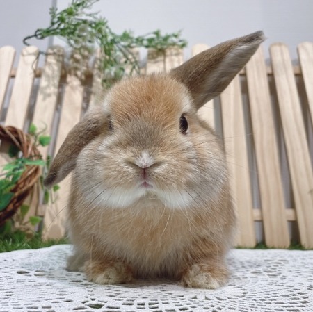 A1270361-97F8-45E9-8C8B-578304F8EFA3