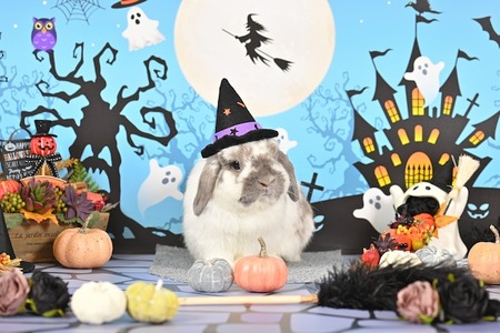 7387936eb220240f8a03209f4dcb36f4