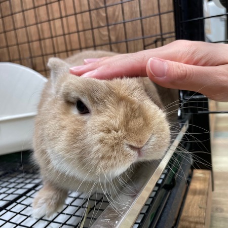 �ͤ�����2