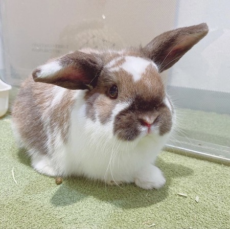 8898FCF3-F02B-4C33-BE50-EBB3FF8F2F93