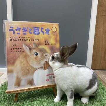 ¤¦¤µ¤®¤ÈÊë¤é¤¹¢
