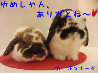 BlogPaint