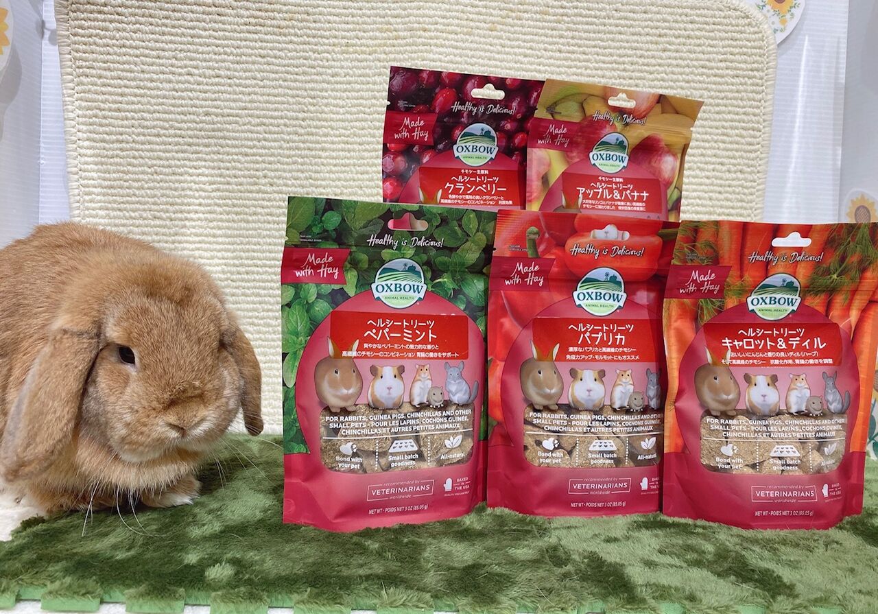 うさぎブログ うさぎのしっぽ公式ブログ 日々しっぽ ヘルシーなおやつをご紹介