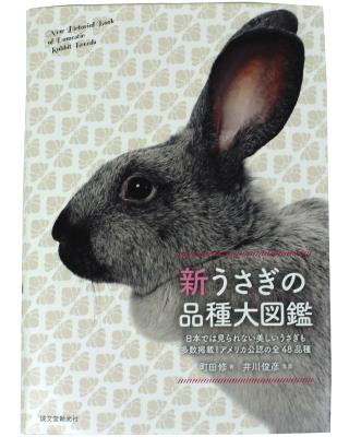 ダッチ紹介 : うさぎブログ うさぎのしっぽ公式ブログ「日々しっぽ」