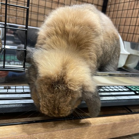 �ȡ�����2