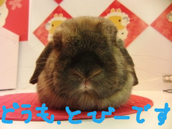 BlogPaint