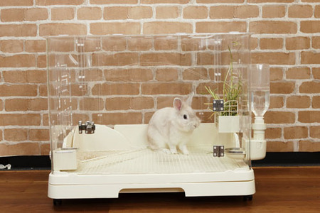 未来先取りの『スマートルーム クリア』 : うさぎブログ うさぎの