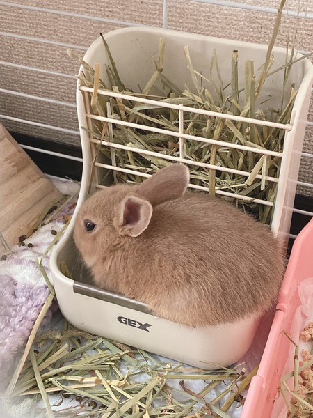 清水ブログ3