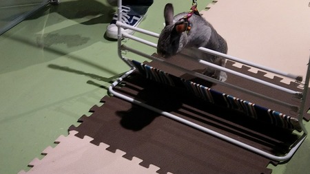 IMAG0262