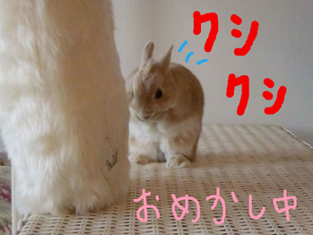 BlogPaint